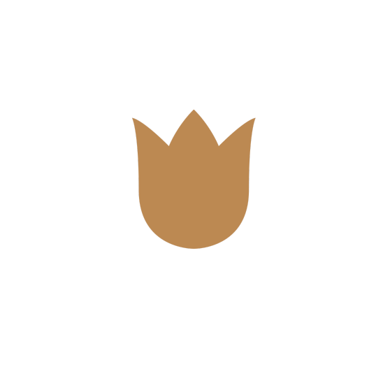 Logo Royal Tulip City Center Tanger